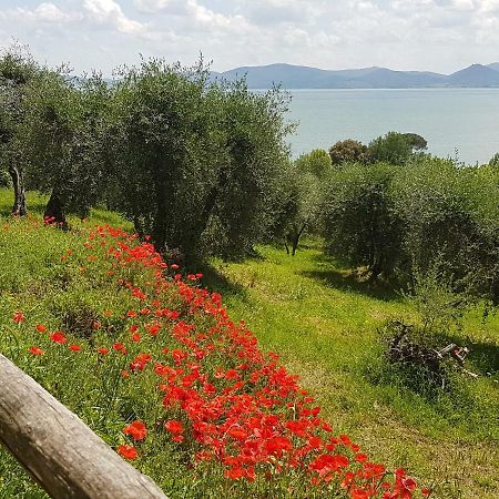 Antica Casa Di Famiglia Hotell Castiglione del Lago Exteriör bild