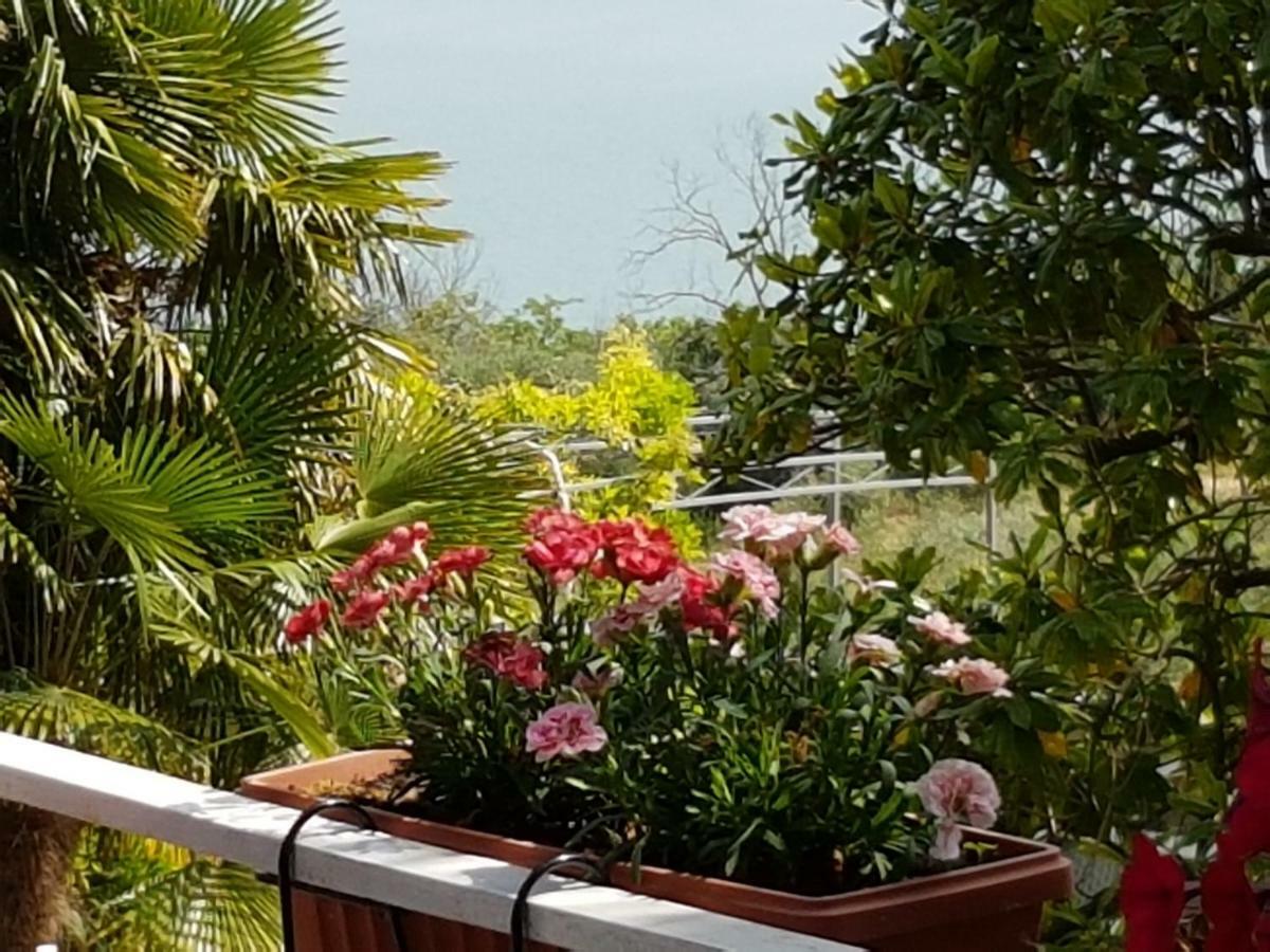 Antica Casa Di Famiglia Hotell Castiglione del Lago Exteriör bild