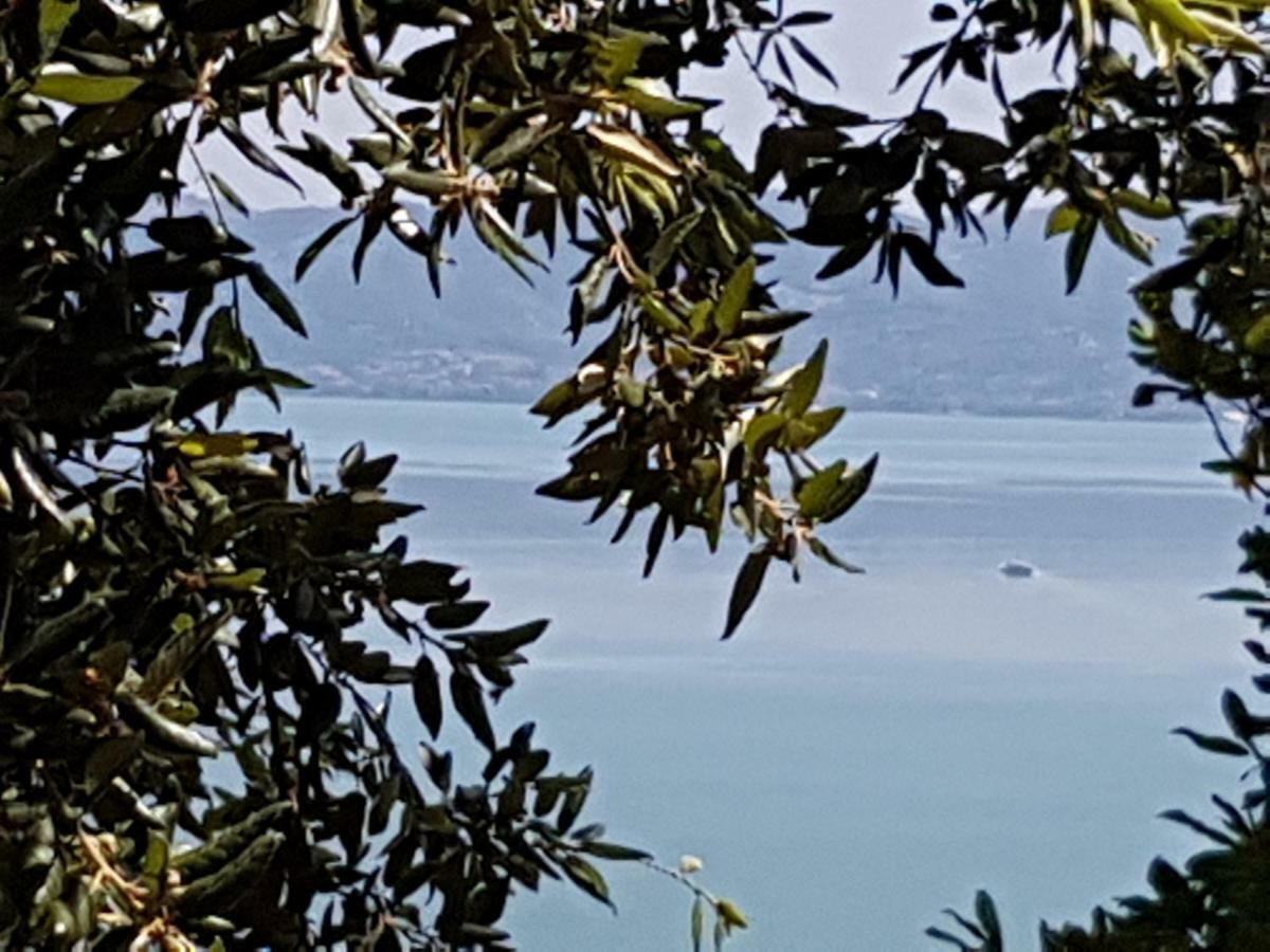 Antica Casa Di Famiglia Hotell Castiglione del Lago Exteriör bild